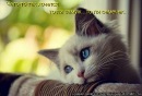 №32 Иришка Никульникова
