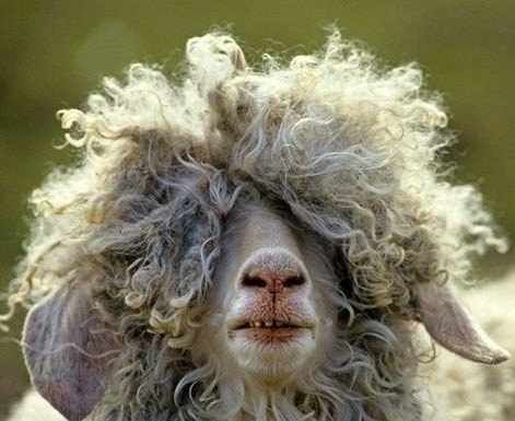 Marina Shermakova | Москва