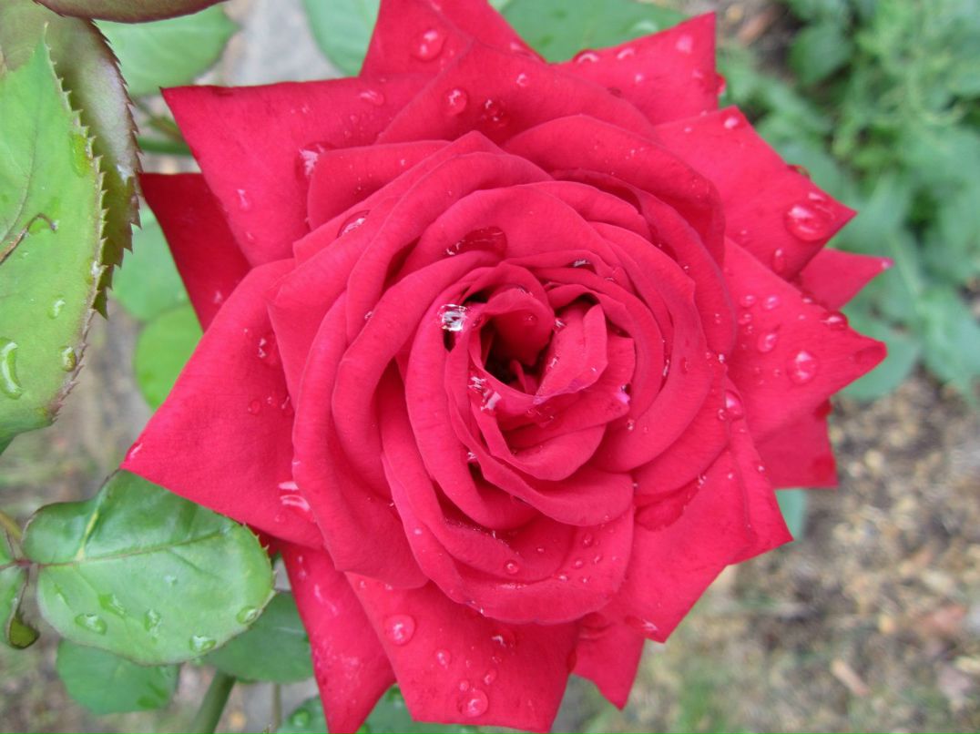 Татьяна Лапухина | Москва