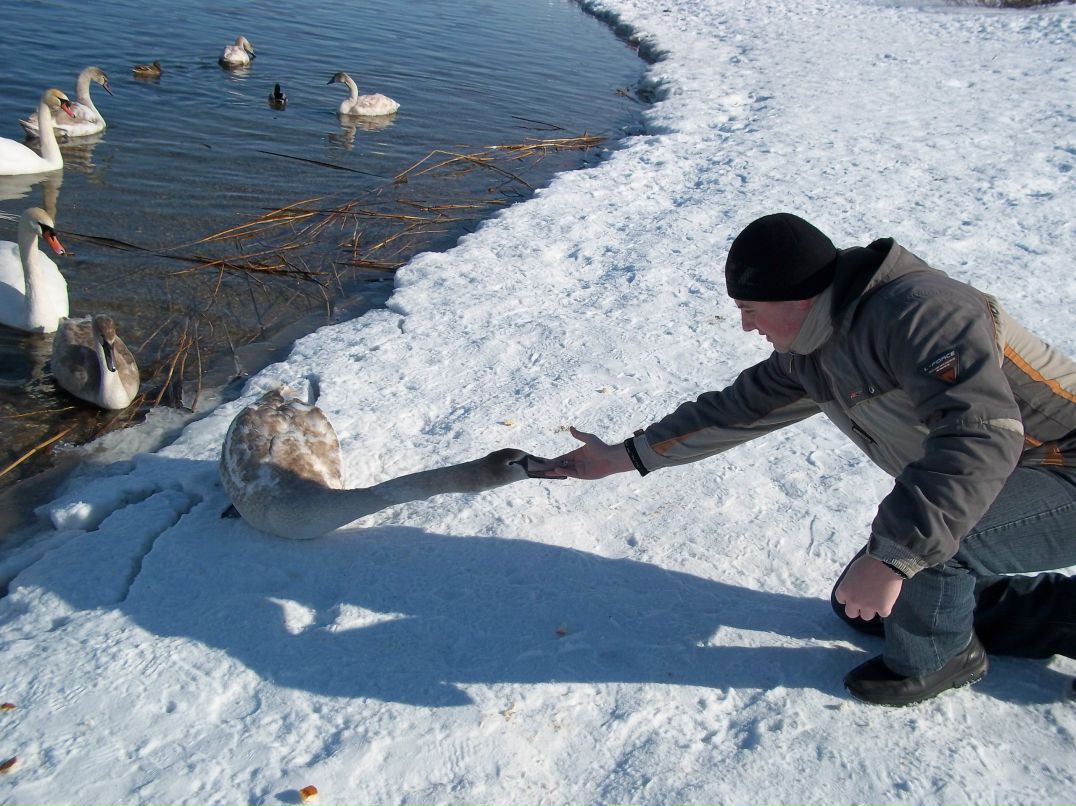 Кирилл Bytschkovskij | 