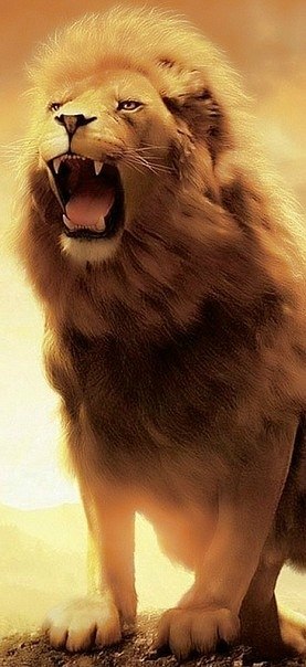 Василий Богатов | 