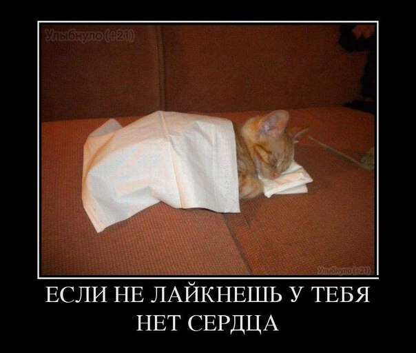 Анастасия Пирогова | Пенза