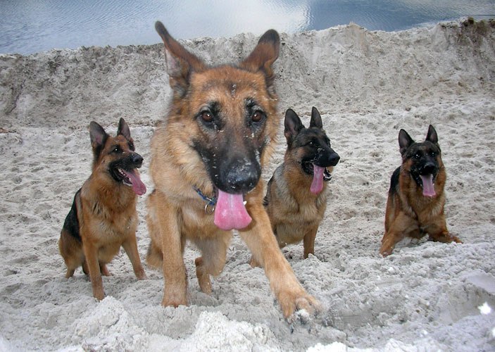 Лука Канделаки | Киев