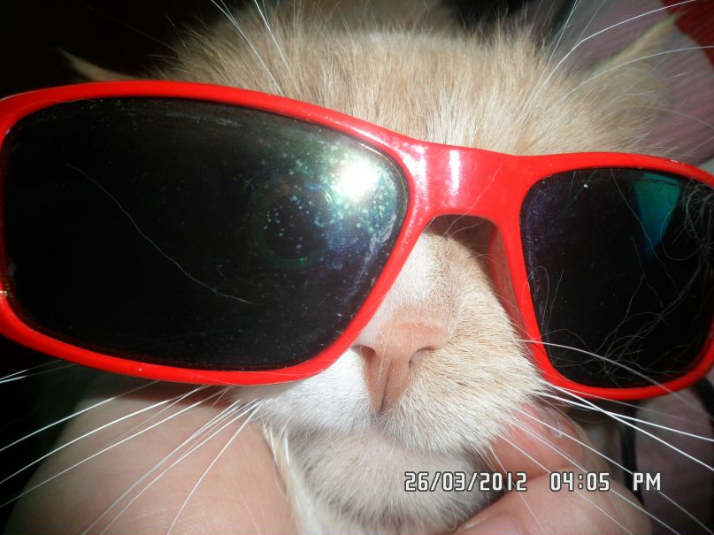 Кирилл Ковалёв | Екатеринбург