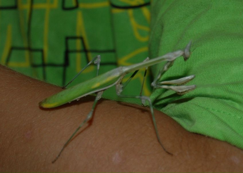 №24, Никита Гавр, 26 лет, Санкт-Петербург №24, Никита Гавр, 26 лет, Санкт-Петербург