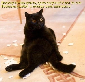 №1, Анастасия Бозрикова, 35 лет, Астрахань №1, Анастасия Бозрикова, 35 лет, Астрахань