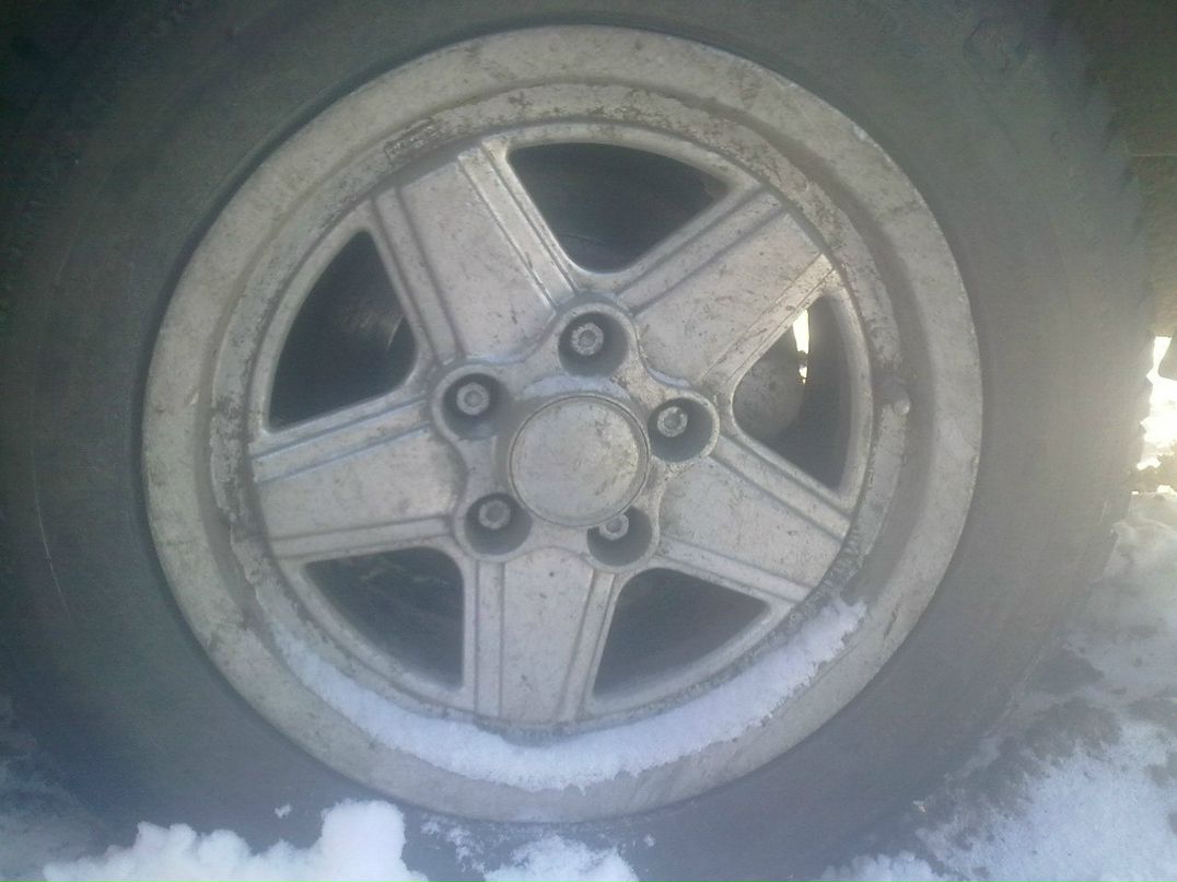 Андрей Шестаков | Калининград