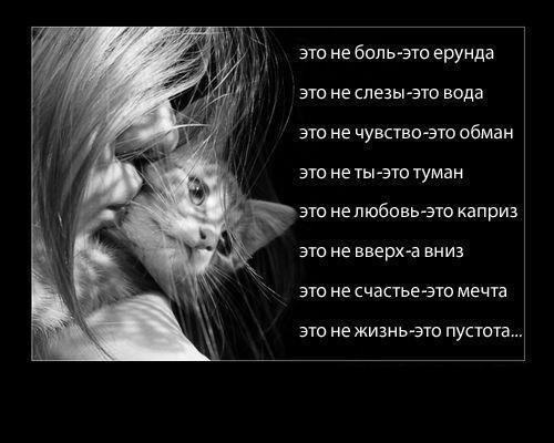 Настасья Мейер | Санкт-Петербург