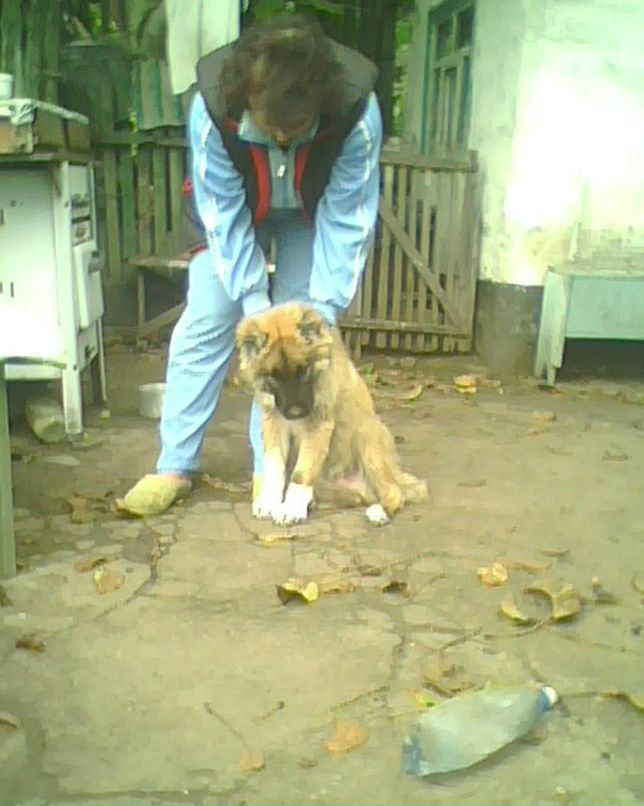 Brain Oconer | Днепр (Днепропетровск)