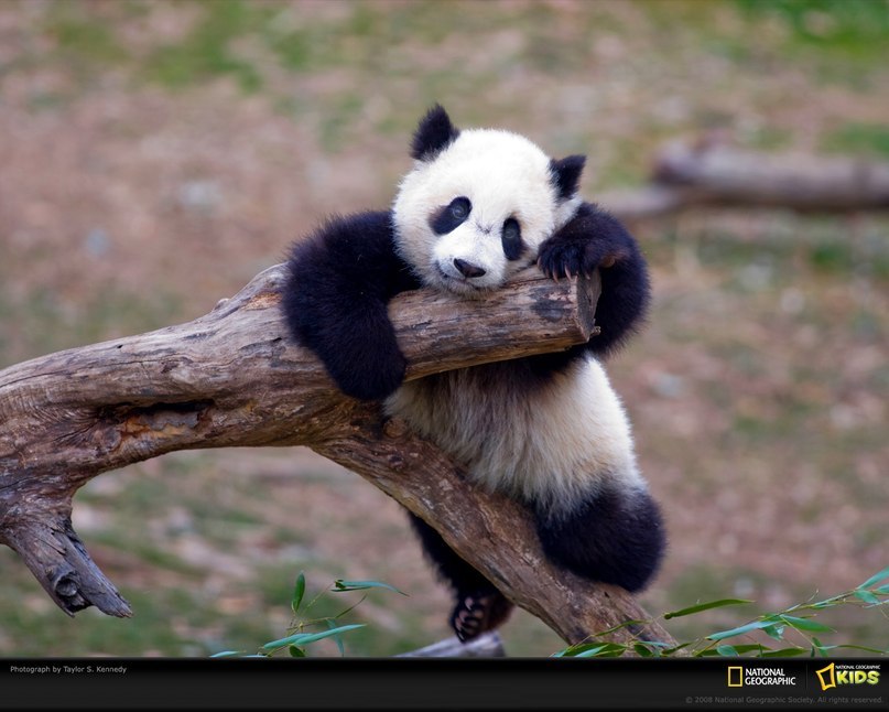 Людмила Земцова | 