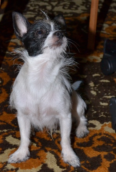 №16, Дарья Лапшина №16, Дарья Лапшина