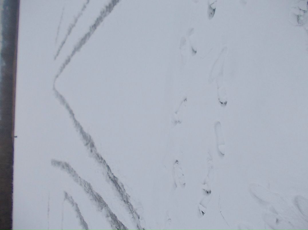 Влад Азаров ~$u$~ | 