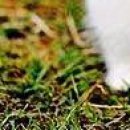 №34, Камила Омарова, 37 лет, Астана, Казахстан №34, Камила Омарова, 37 лет, Астана, Казахстан