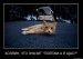 Эмилька Sever фотография #17