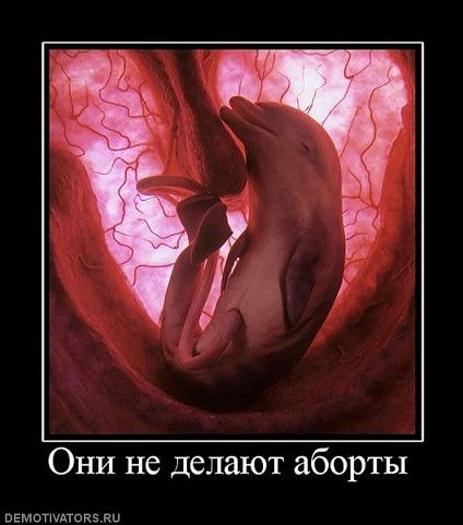 Вадим Сварной | Житомир