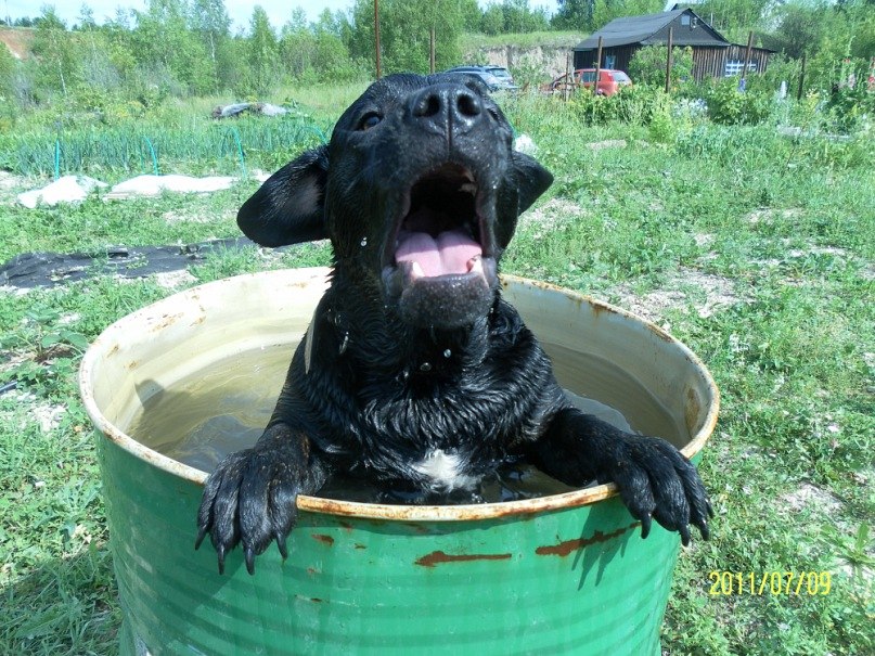 Ляйсан Маликова | Казань