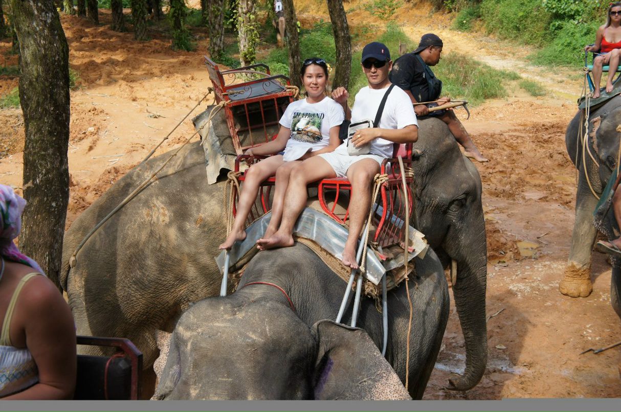 Лаура Ланаа | Кызыл