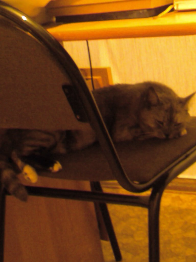 Екатерина Блинова | Москва