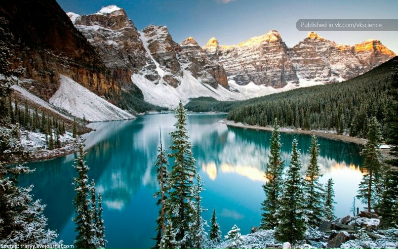 Леся Волкова | 