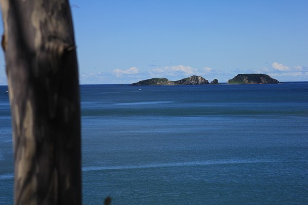 Анна Пахоменко | Sydney