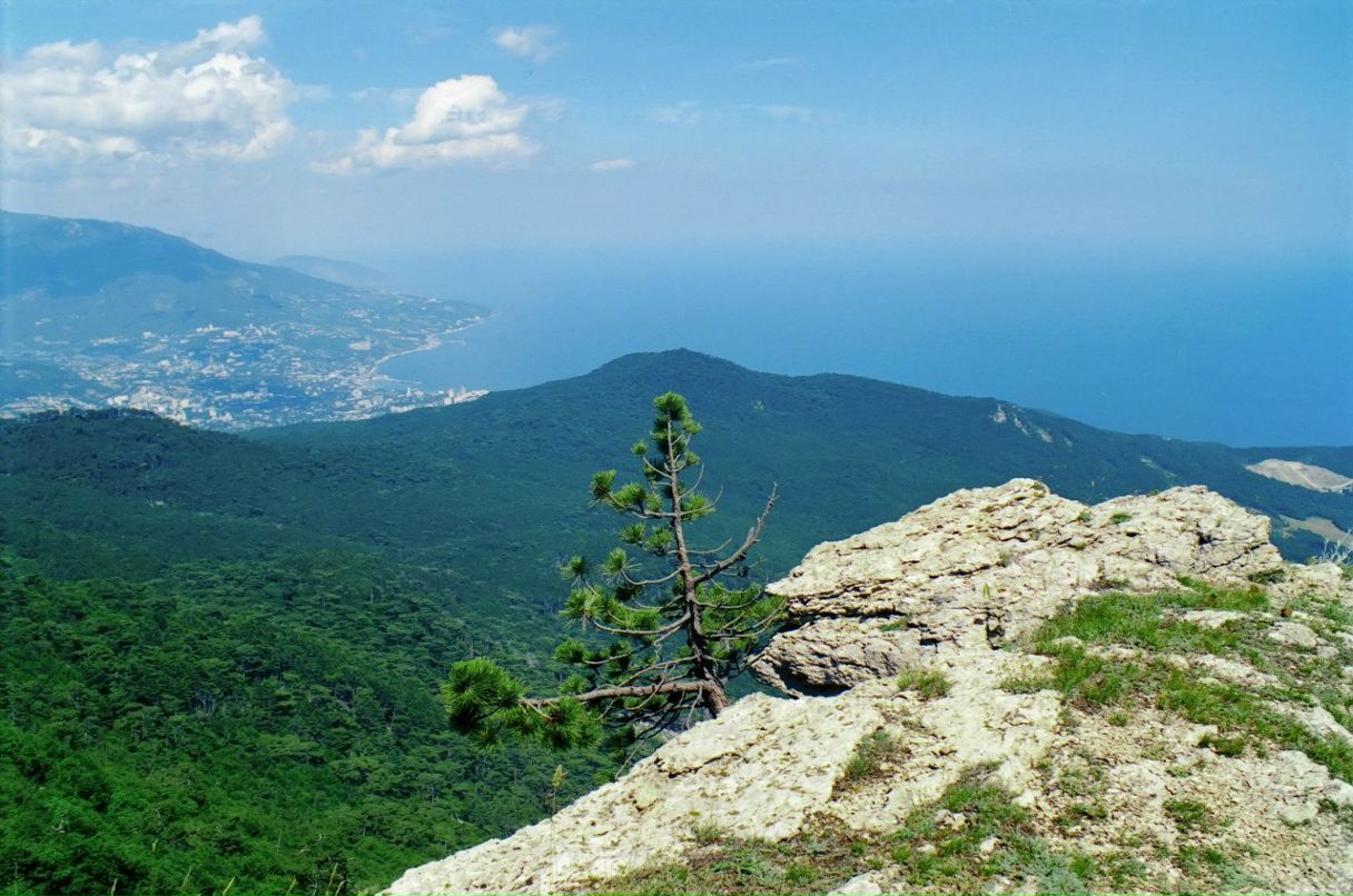 Александр Рябенко | Алушта