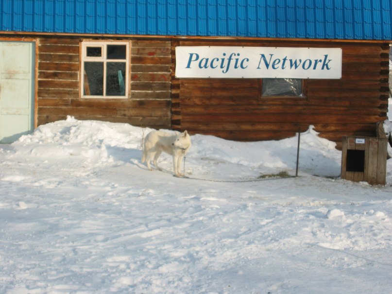 Анастасия Трофимова | Петропавловск-Камчатский