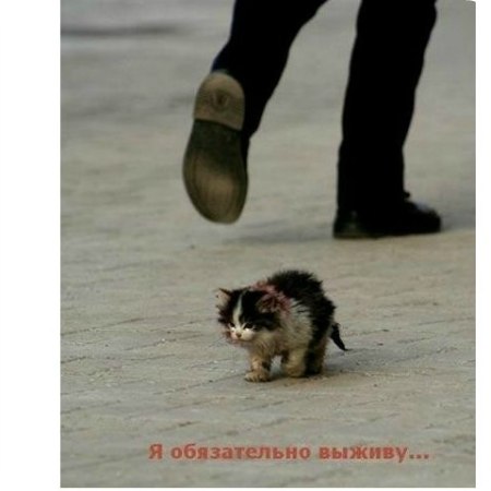 Денис Дюков | Санкт-Петербург