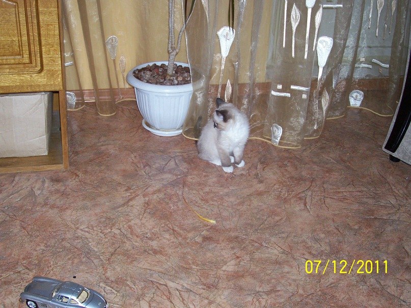 Галина Илларионова | Нижний Новгород