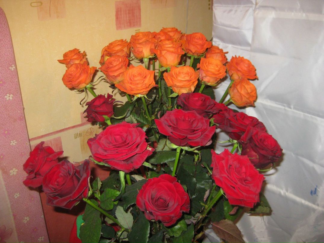 Мария Тесля | Фрязино