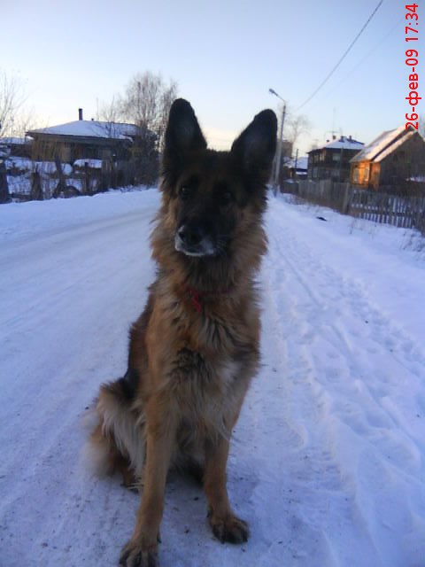 Мария Попова | Ялуторовск