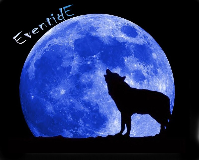 Александр Максимович a.k.a Алекс | Москва