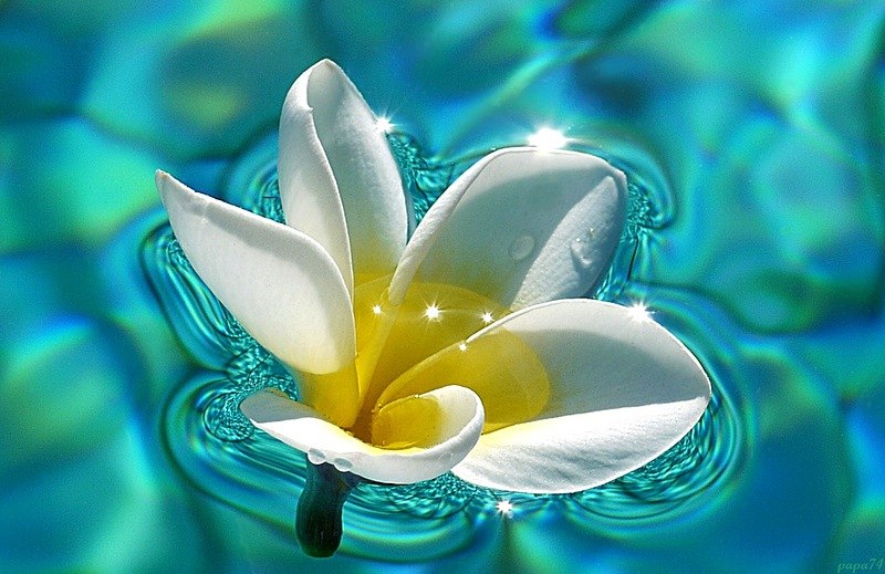 Элеонора Рыхлова | Оренбург