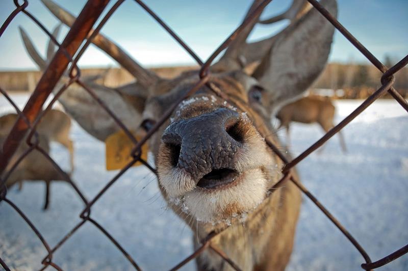 Валерия Меркутова | Москва