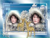Фотография Елена Шульгина