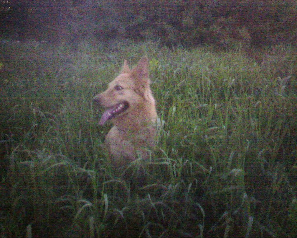 Анастасия Владимировна | Санкт-Петербург