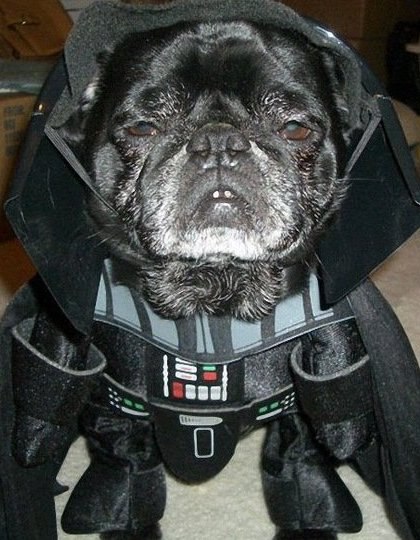 Айрон Сливканич Дмитрович | Львов