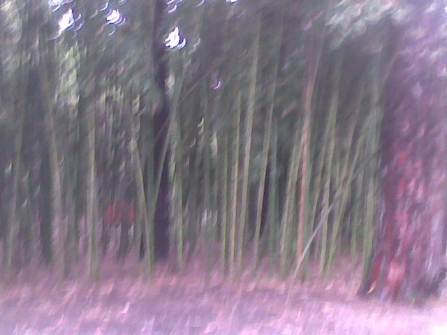 Татьяна Акопова | Багаевская