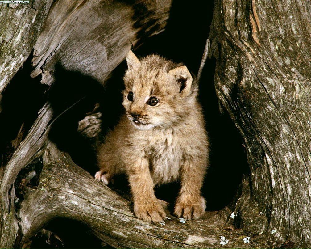 Слава Демичев | Приморск