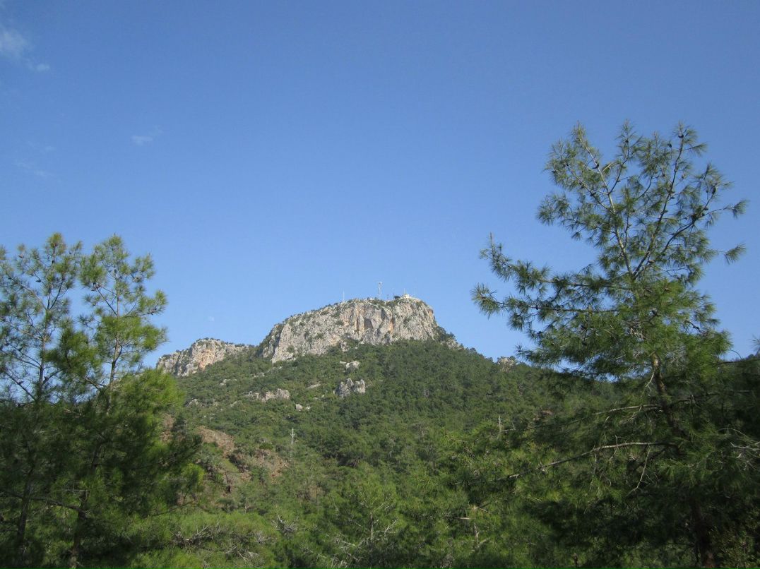 Александр Комаров | Иваново