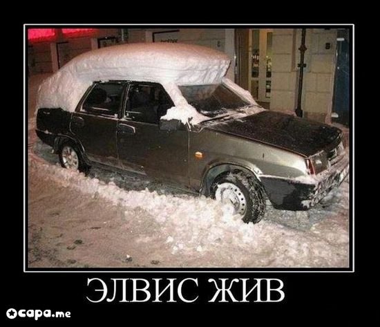 №25, Максим Чернов, Санкт-Петербург, Россия №25, Максим Чернов, Санкт-Петербург, Россия
