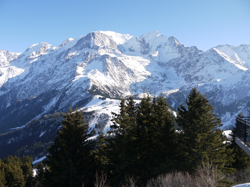 Сергей Мадвауг | Санкт-Петербург