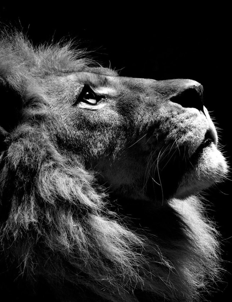 Женя Харченко | Кропивницкий / Кировоград