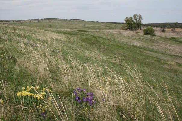 Денис Карасев | Чертково