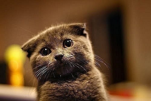 Александр Ефремов | Москва