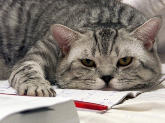 №10, Андрей Тихонов, 36 лет, Москва №10, Андрей Тихонов, 36 лет, Москва