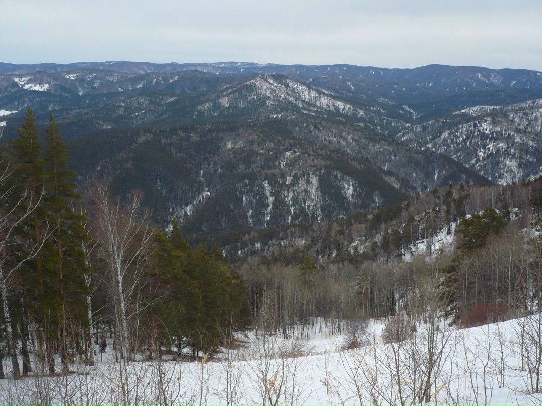 Сергей Рябухин | Калининград