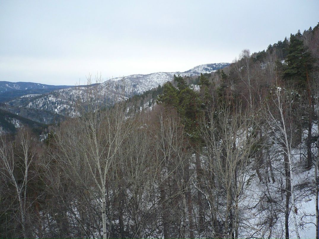 Сергей Рябухин | Калининград