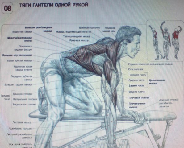 Олег Горшунов | Санкт-Петербург