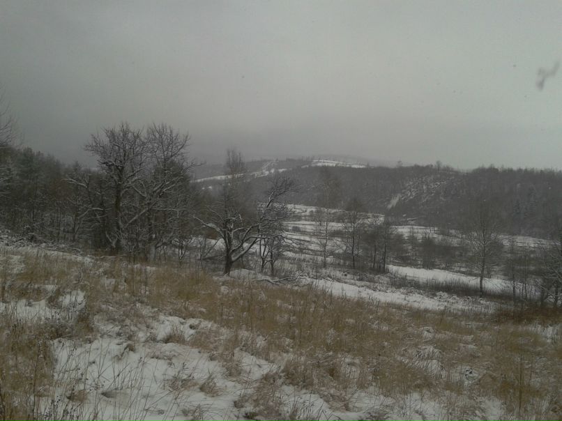 Кирилл Раков | Санкт-Петербург