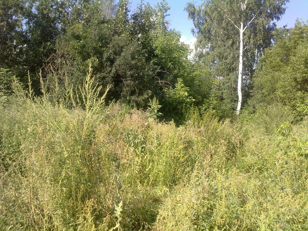 Денис Павлык | Москва